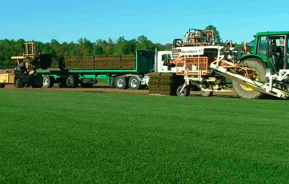 Home Waltz Green Acres Sod Farm